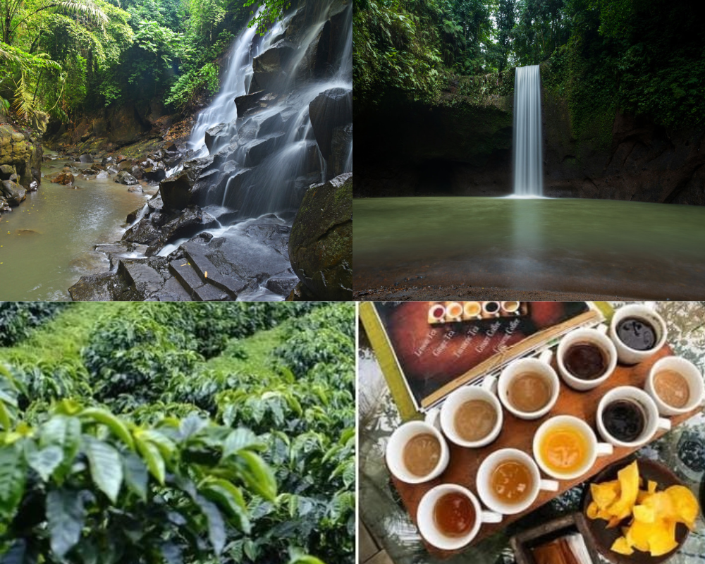Fullday Tour — Waterfall & Temple